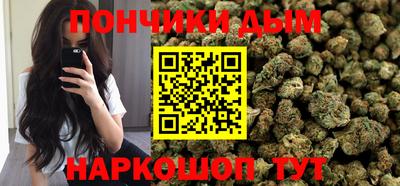 сатива Гагарин