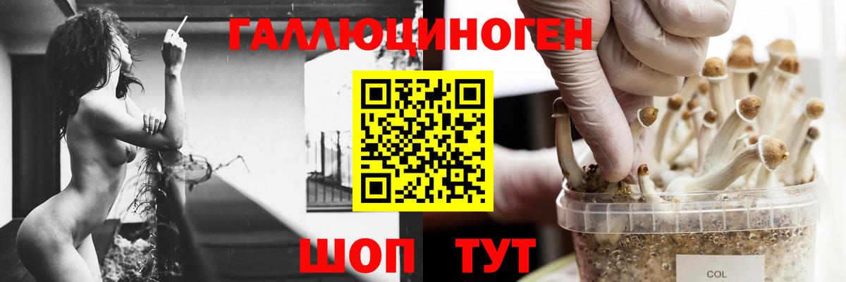Галлюциногенные грибы Magic Shrooms  Вход с VPN  Заволжье 